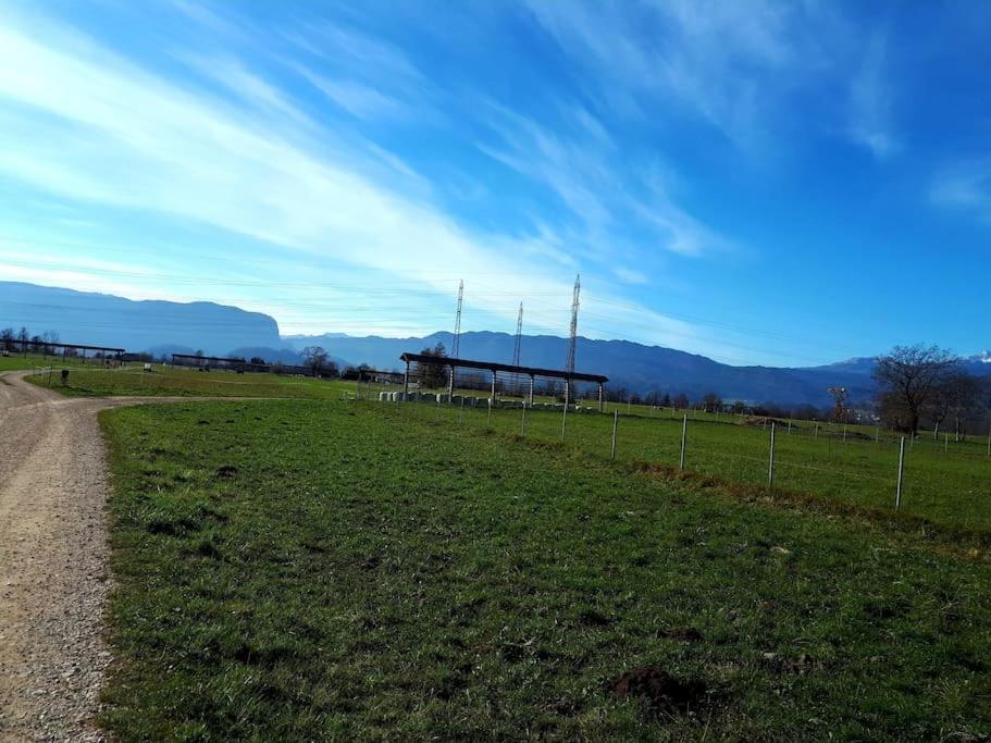 Apartma Juli Zirovnica Exterior foto
